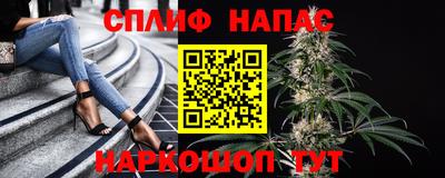 mdpv Гусев