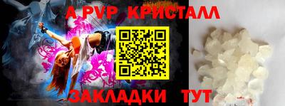 стаф Донецк