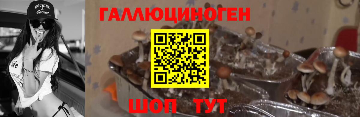 Галлюциногенные грибы Cubensis  Вход с VPN  Галлюциногенные грибы Magic Shrooms  Железноводск 
